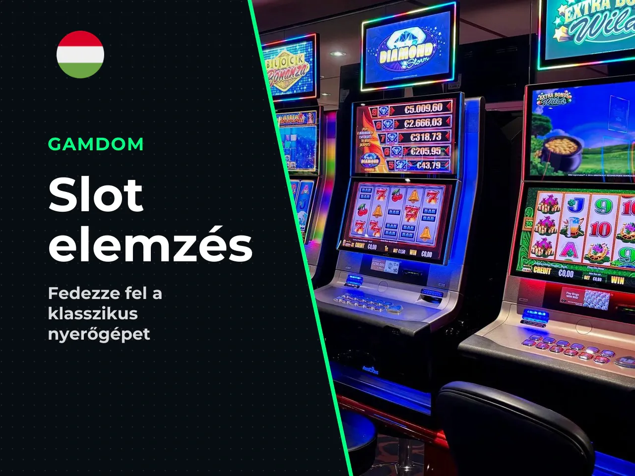 Dead or Alive slot áttekintése mit