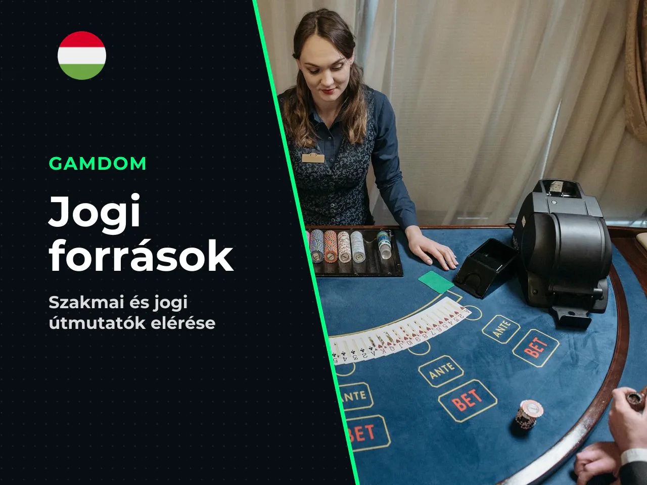 Kapcsolódó szakmai és jogi források
