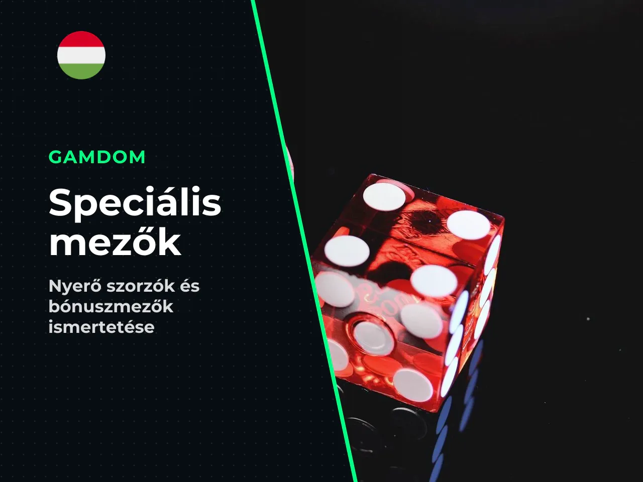5. Speciális mezők - GO Start